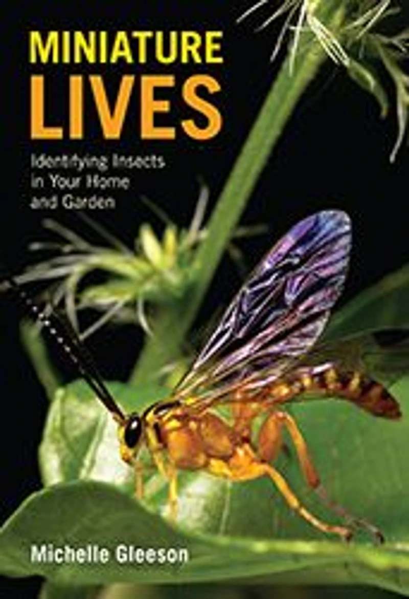 Miniature Lives: Identifying Insects Your Home and Garden
