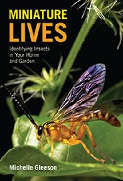 Miniature Lives: Identifying Insects Your Home and Garden