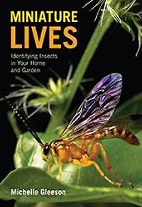 Miniature Lives: Identifying Insects Your Home and Garden