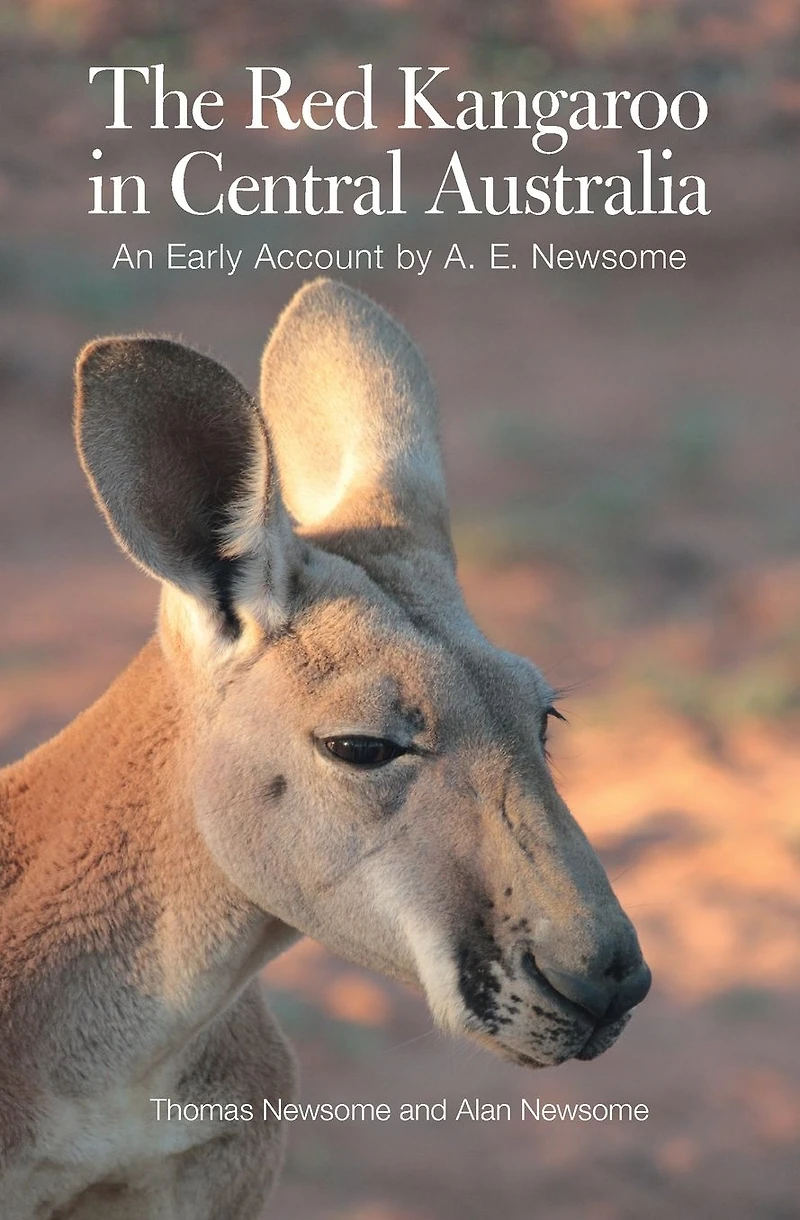 The Red Kangaroo Central Australia: An Early Account by A. E. Newsome