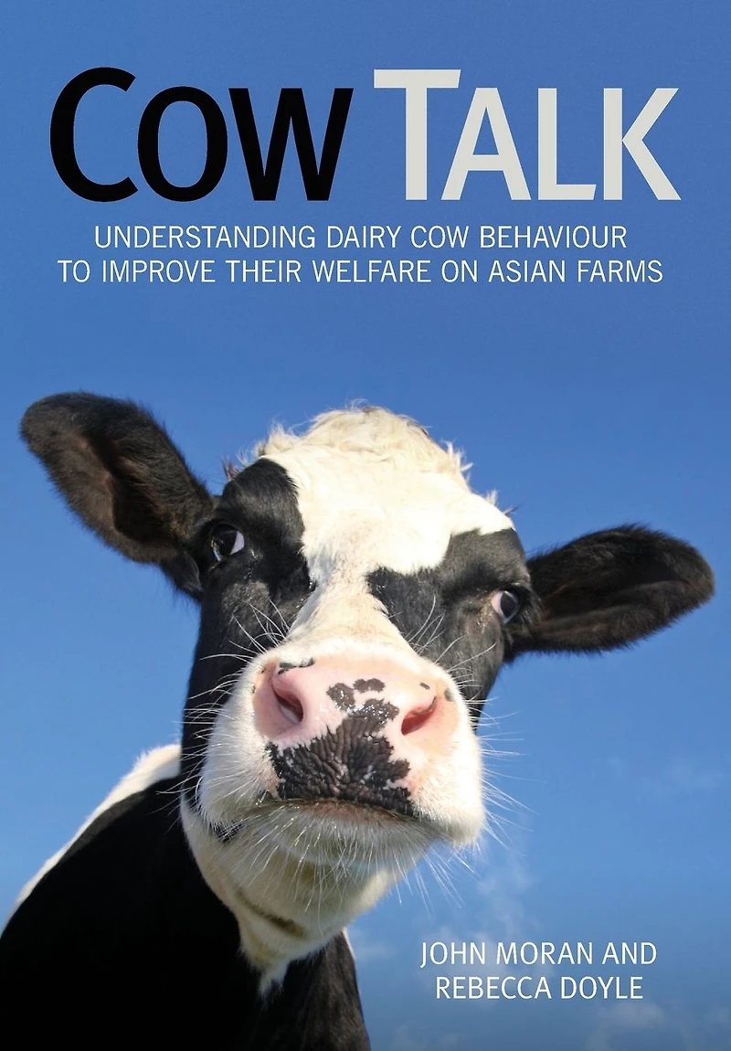 Cow Talk: Understanding Dairy Behaviour to Improve Their Welfare on Asian Farms