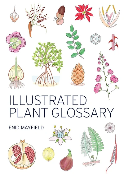 Illustrated Plant Glossary
