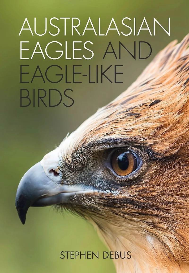 Australasian Eagles and Eagle-like Birds