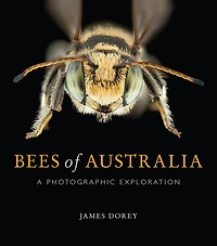 Bees of Australia: A Photographic Exploration