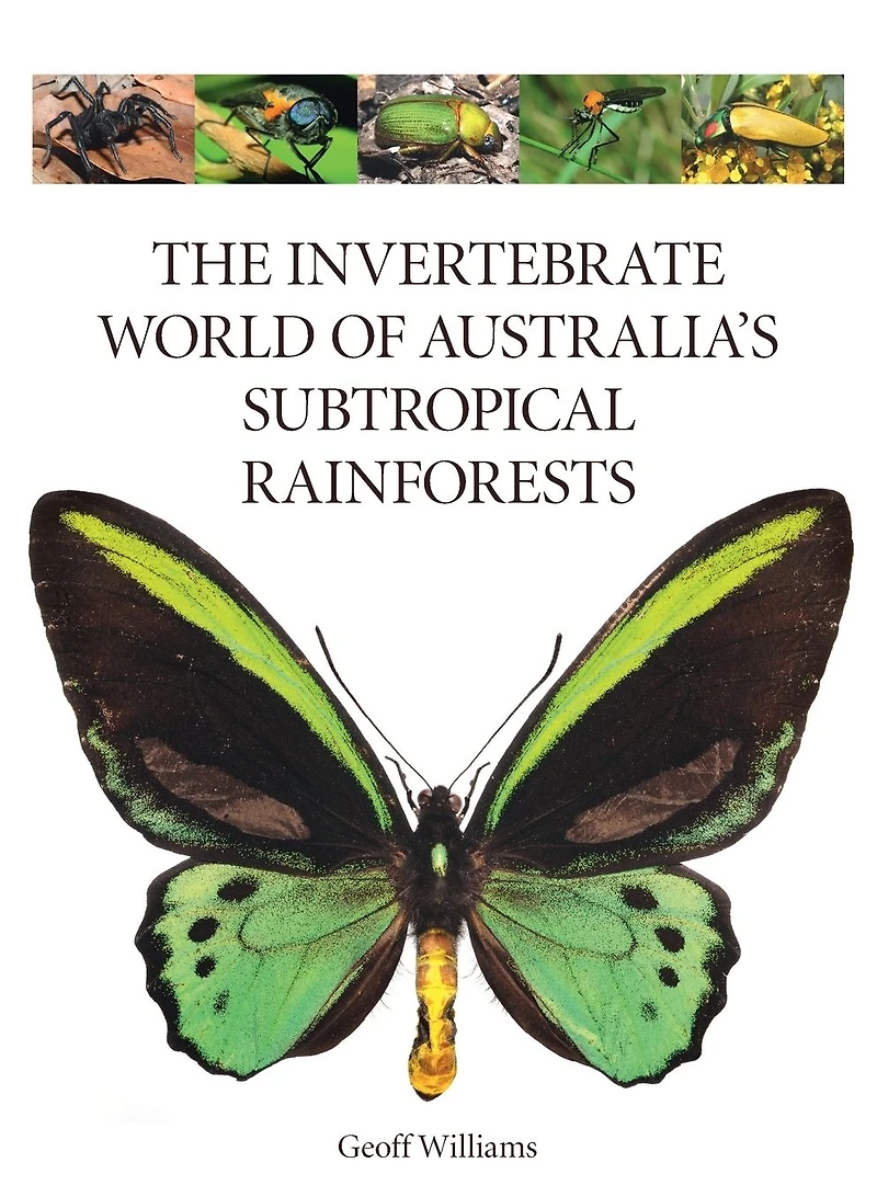 The Invertebrate World of Australia's Subtropical Rainforests