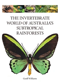 The Invertebrate World of Australia's Subtropical Rainforests