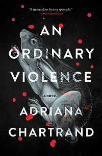 An Ordinary Violence: A Novel