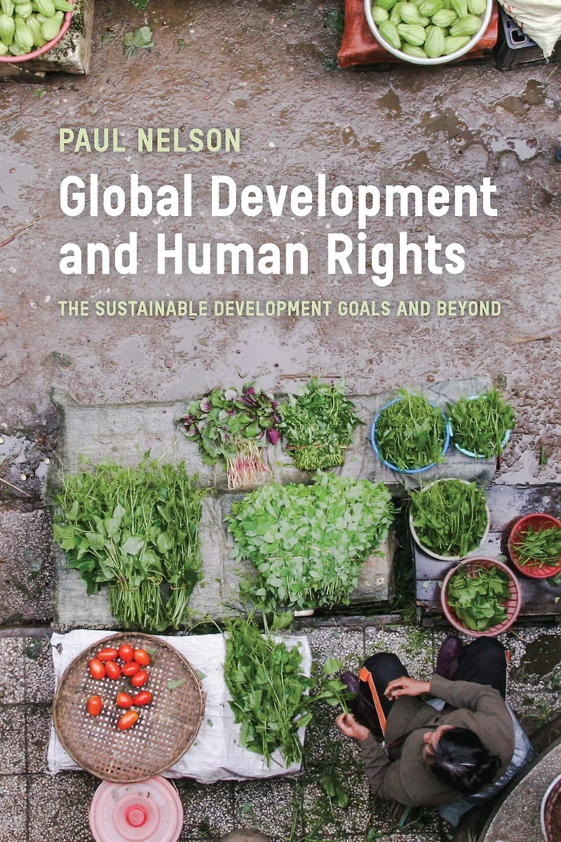Global Development and Human Rights: The Sustainable Goals Beyond