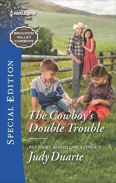 The Cowboy's Double Trouble