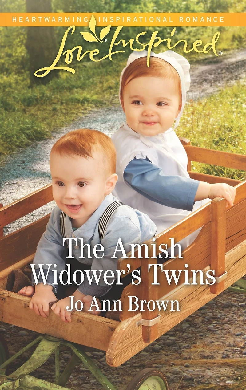 Amish Widower's Twins