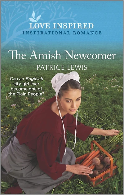 The Amish Newcomer