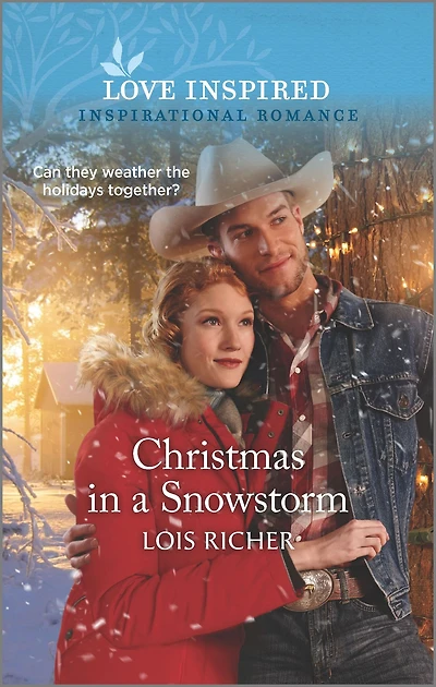Christmas in a Snowstorm