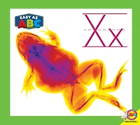 Xx