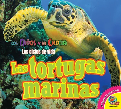 Las tortugas marinas