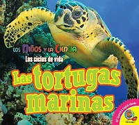 Las tortugas marinas