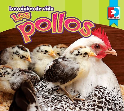 Los ciclos de vida - Los Pollos