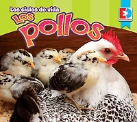 Los ciclos de vida - Los Pollos