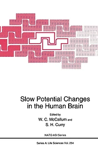 Slow Potential Changes the Human Brain