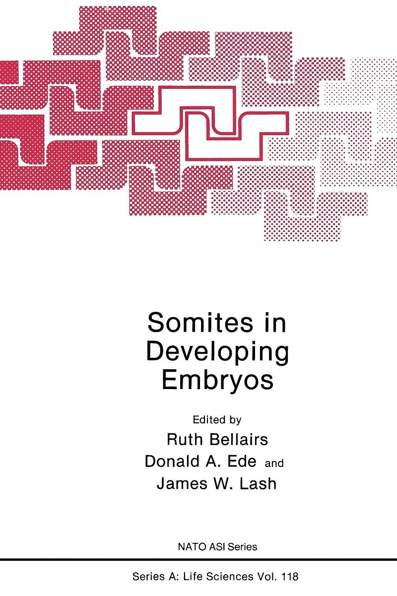 Somites Developing Embryos
