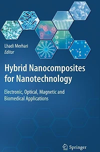 Hybrid Nanocomposites for Nanotechnology: Electronic, Optical, Magnetic and Biomedical Applications