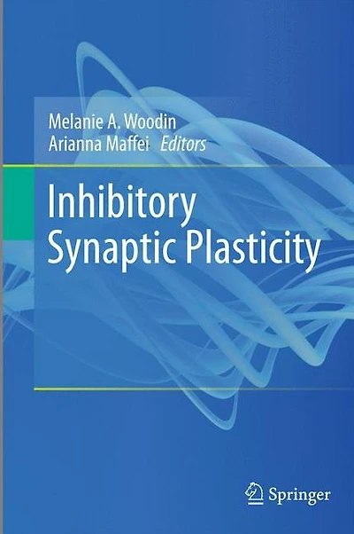 Inhibitory Synaptic Plasticity