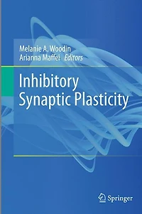 Inhibitory Synaptic Plasticity