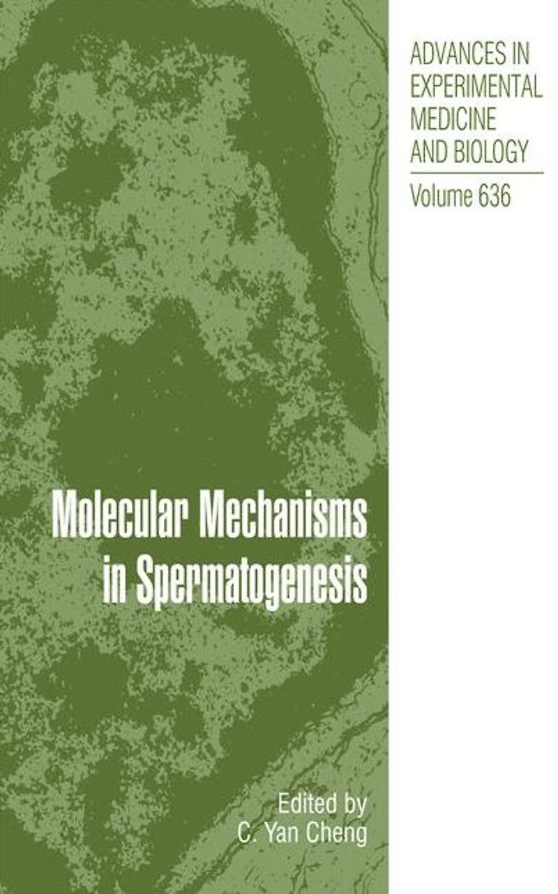 Molecular Mechanisms Spermatogenesis