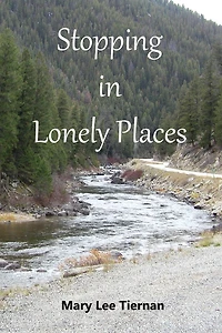 Stopping Lonely Places (Mahoney and Me Mystery Series, #1)