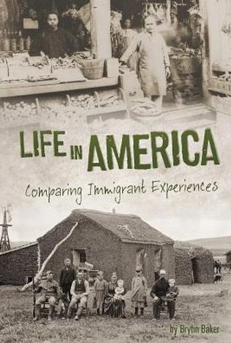 Life America: Comparing Immigrant Experiences