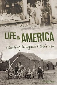 Life America: Comparing Immigrant Experiences