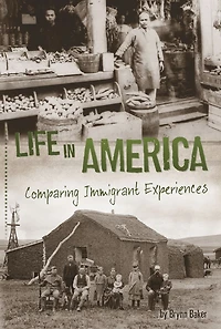 Life America: Comparing Immigrant Experiences