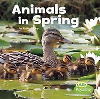 Animals Spring