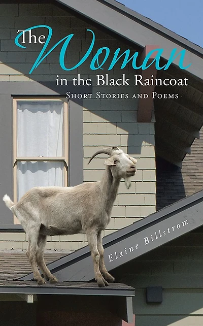 The Woman in the Black Raincoat: Short Stories and Poems