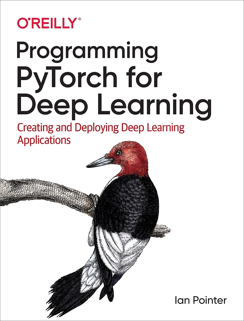 Programming PyTorch for Deep Learning: Creating and Deploying Learning Applications