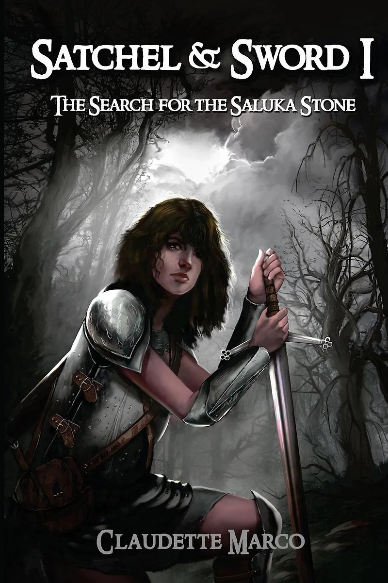 Satchel & Sword I: the Search for Saluka Stone