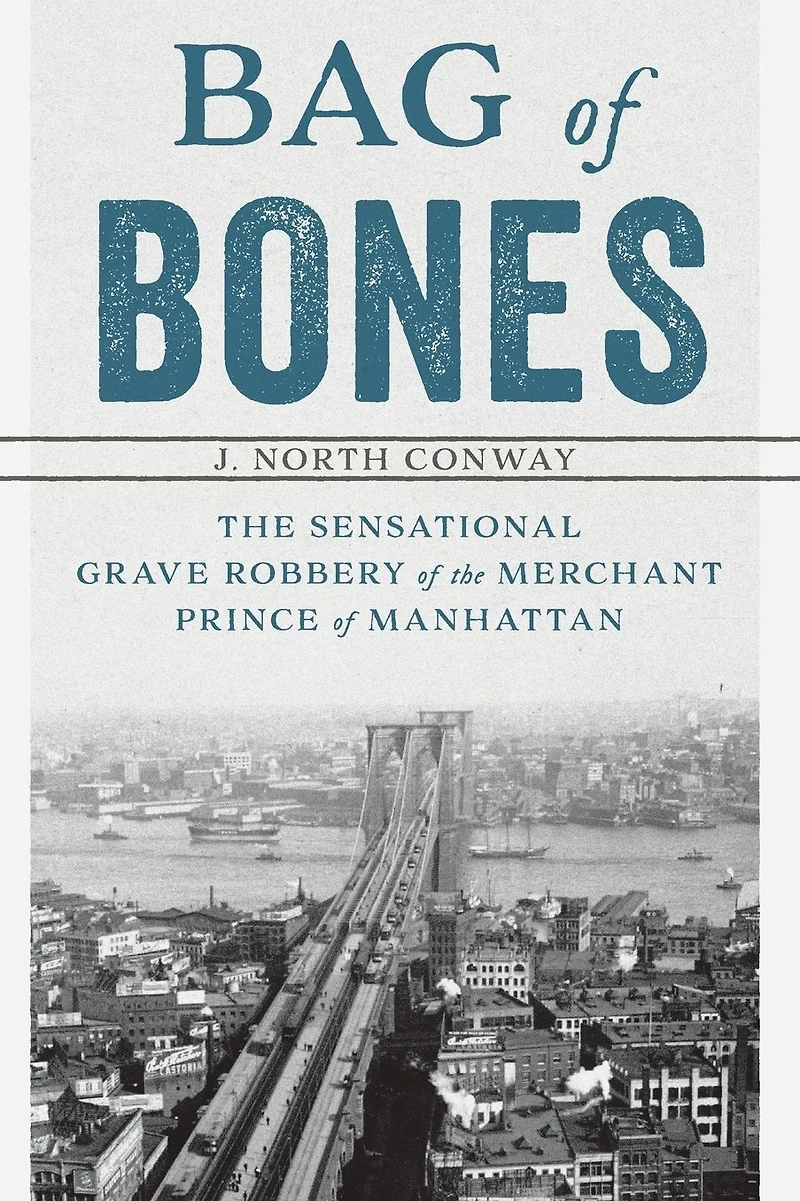 Bag Of Bones: The Sensational Grave Robbery Merchant Prince Manhattan