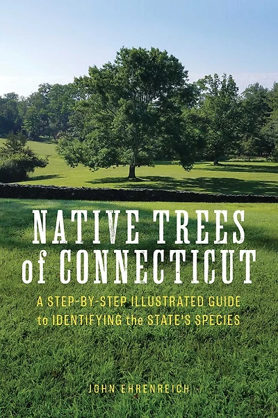 Native Trees of Connecticut: A Step-by-Step Illustrated Guide to Identifying the State's Species