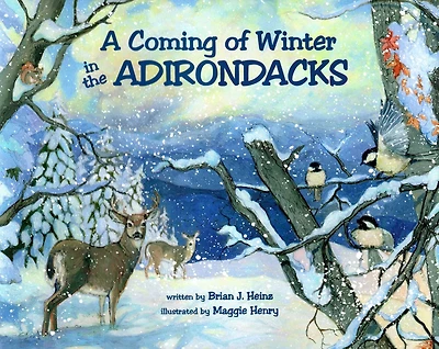 Coming Of Winter The Adirondacks