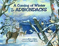Coming Of Winter The Adirondacks