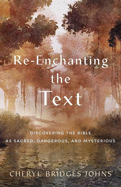 Re-enchanting the Text: Discovering Bible as Sacred, Dangerous, and Mysterious