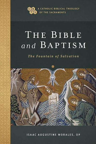 The Bible and Baptism (A Catholic Biblical Theology of Sacraments): Fountain Salvation