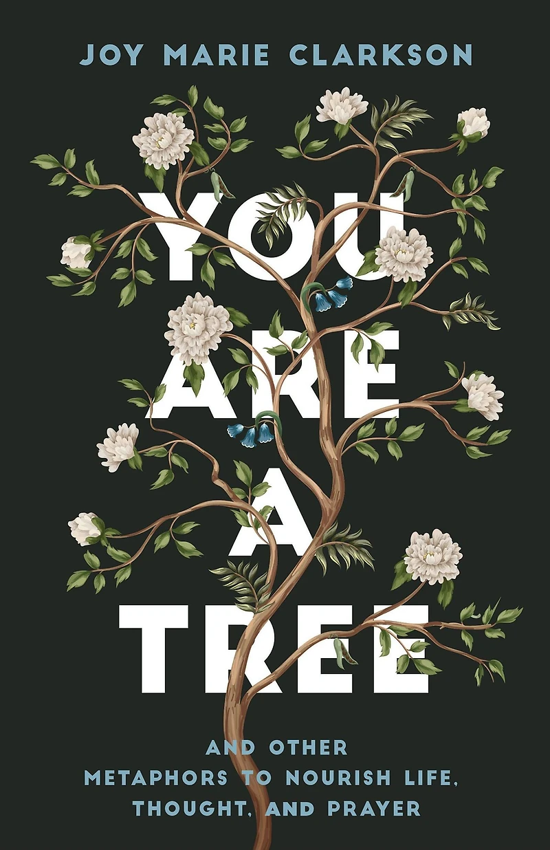 You Are a Tree: and Other Metaphors to Nourish Life, Thought, Prayer