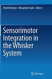Sensorimotor Integration the Whisker System