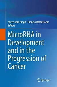 MicroRNA Development and the Progression of Cancer