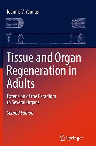Tissue and Organ Regeneration in Adults: Extension of the Paradigm to Several Organs