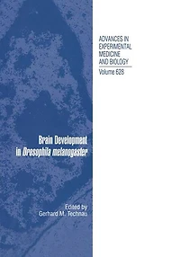 Brain Development Drosophila melanogaster