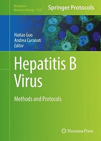 Hepatitis B Virus: Methods and Protocols