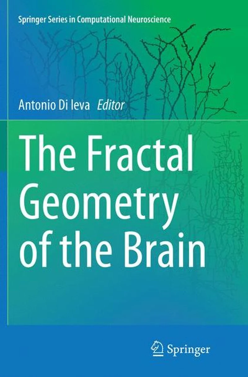the Fractal Geometry of Brain