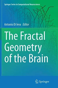 the Fractal Geometry of Brain