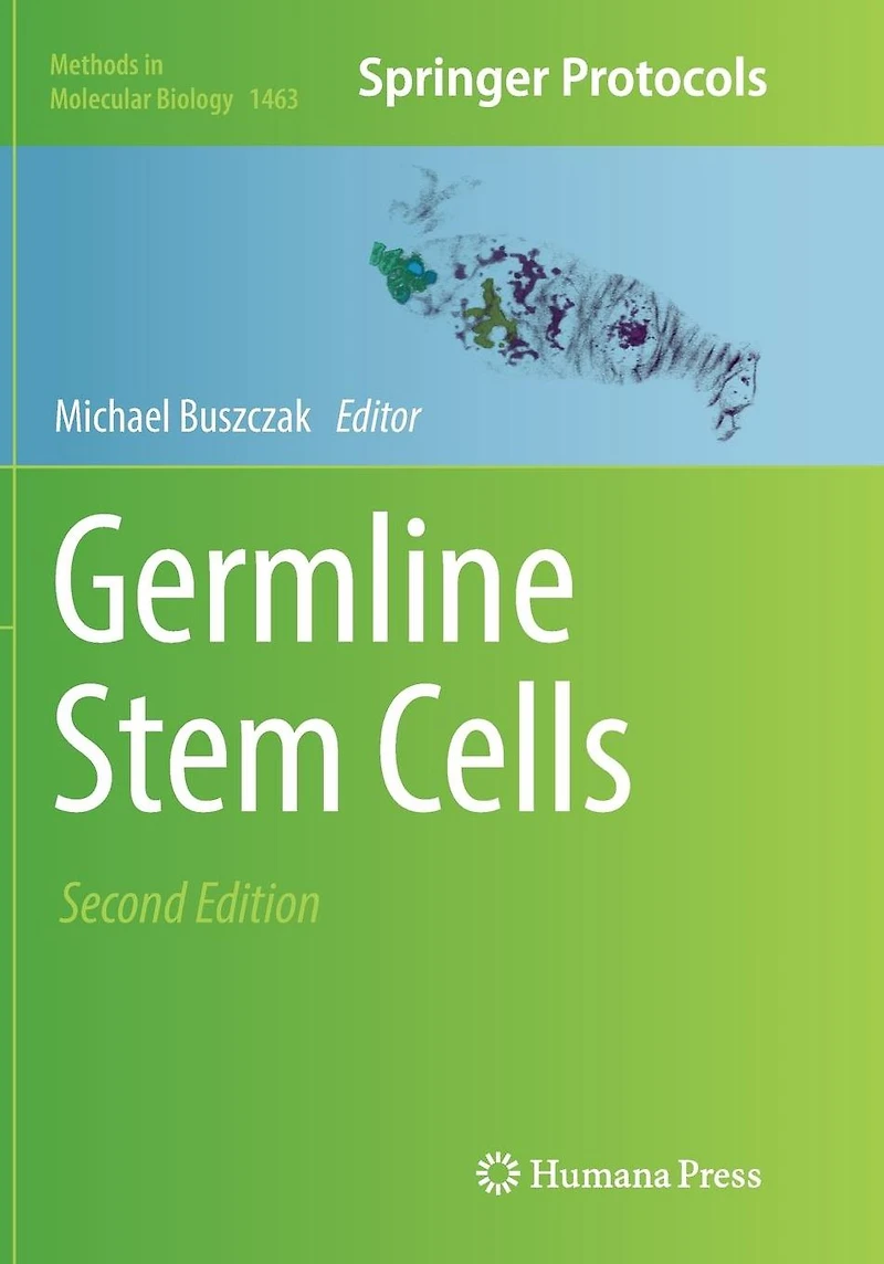 Germline Stem Cells